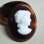 画像2: 34×25 brown / white cameo (2)