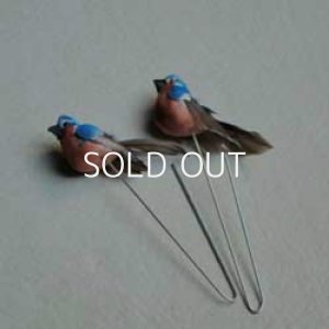 画像1: tiny feather bird pick "blue"