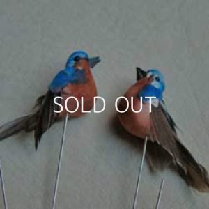 画像2: tiny feather bird pick "blue"
