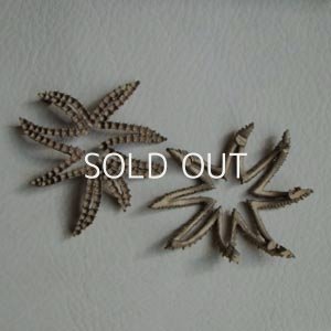 画像1: brass "GIVENCHY" rhinestone setting finding