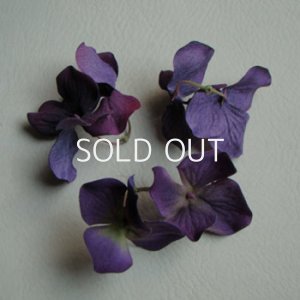 画像1: Purple Hydrangea "Small"