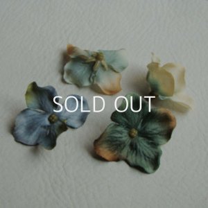 画像1: Blue Mix Color Hydrangea "Large"