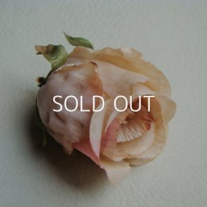 画像2: Rose "Khaki /  Pink"