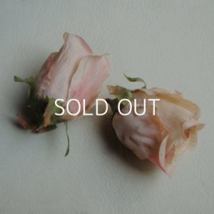 画像3: Rose "Khaki /  Pink"