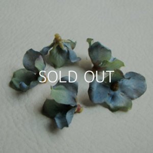 画像1: Blue Mix Color Hydrangea "Small"