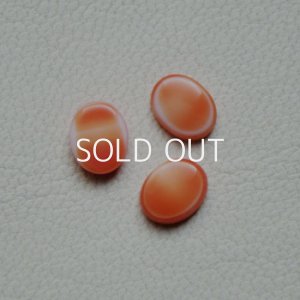 画像1: 10×8 OV flamingo cabochon