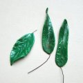 Antique wired veined long leaf "C"    