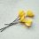 画像2: 9~10mm cup flower pin "Yellow " (2)