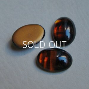画像1: 18×13 OV Tortoise cabochon