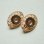 画像1: GP 15mm setting earring base (1)