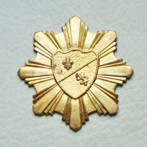 画像2: brass 44mm shield medallion