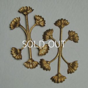 画像1: brass 71x41 Botanical Flowers stamping