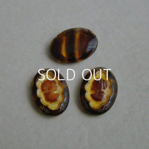 画像2: 1pair 18×13 "Tortoise/ Gold/ Brown" cameo