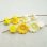 画像2: 2pcs 8mm "Matte Yellow" flower beads (2)