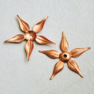 画像1: red brass 5-leaf petal finding