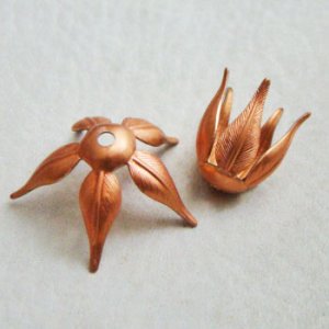 画像2: red brass 5-leaf petal finding