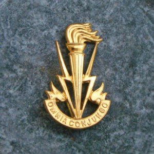 画像2:  GP 46x28 "Coat of Arms" stamping