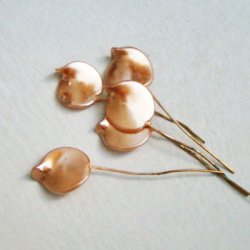 画像2: "Champagne / Brown"petal glass pearl pin