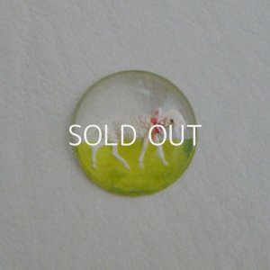 画像2: 15mm "Lamb" intaglio cabochon