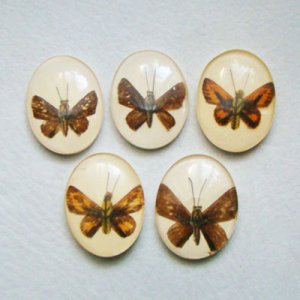 画像1: Butterfly acrylic cabochon