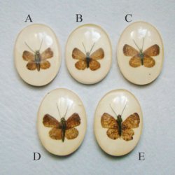 画像2: Butterfly acrylic cabochon