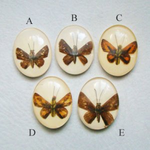 画像2: Butterfly acrylic cabochon