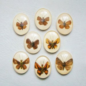 画像1: Butterfly acrylic cabochon