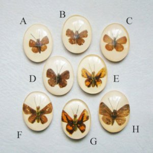 画像2: Butterfly acrylic cabochon