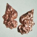 copper 62x35 detailed leaf 