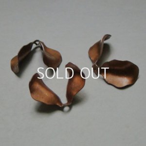 画像1: 21.5mm C.C.S double leaf finding