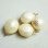 画像2: 15x23 cream pearl drop charm (2)