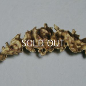 画像5: aged brass victorian floral garland stamping