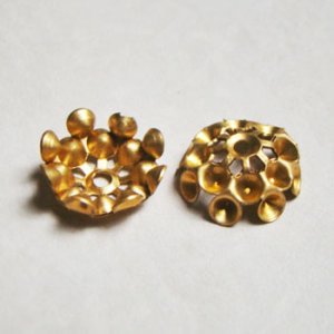 画像2: 16mm 17SS multi dome setting