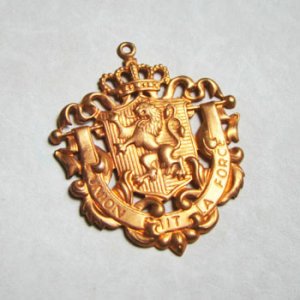 画像3: 36x43 Lion & Crown crest pendant