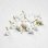 画像1: 7~8mm glass flower pin "White" (1)