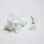 画像2: 7~8mm glass flower pin "White" (2)