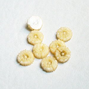 画像3: Cream celluloid flower cabochon