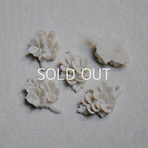 画像1: 20x13 "Off-White" celluloid violet bouquet cabochon