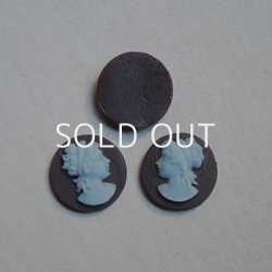 画像1: 1 pair 14mm "Brown/Blue" plastic cameo