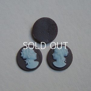 画像1: 1 pair 14mm "Brown/Blue" plastic cameo
