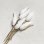 画像2: 23x6 White flower bud pin (2)