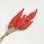 画像2: 23x6 Red flower bud pin (2)