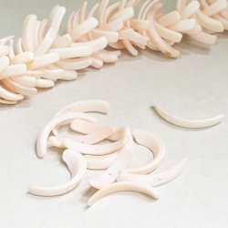 画像1: 5pcs 19~23mm curved shell beads