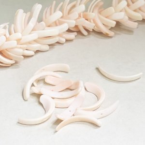 画像1: 5pcs 19~23mm curved shell beads