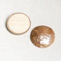 25.5mm mosaic shell cabochon