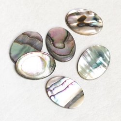 画像1: 18x13 oval abalone shell cabochon