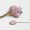 画像1: "Mauve luster" 11~13x7 oval head pin (1)