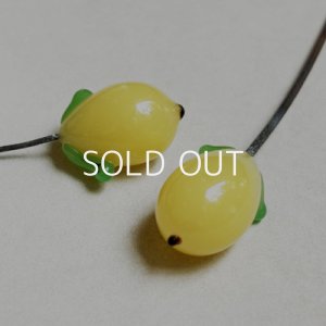 画像3: 16x11 Lemon on wire
