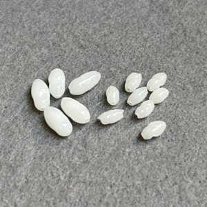 画像4: 10pcs 4.5x 8~10 baroque rice "White Alabaster"