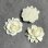 画像2: 32mm celluloid Off-White Rose pendant (2)